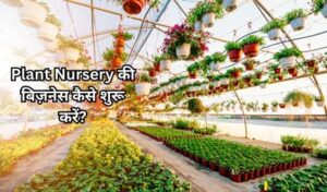 plant ki nursery ka business kaise shuru kare