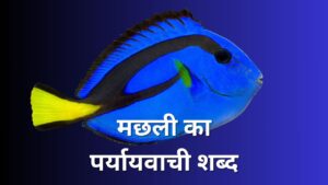 | Machhali Ka Paryayvachi Shabd in Hindi